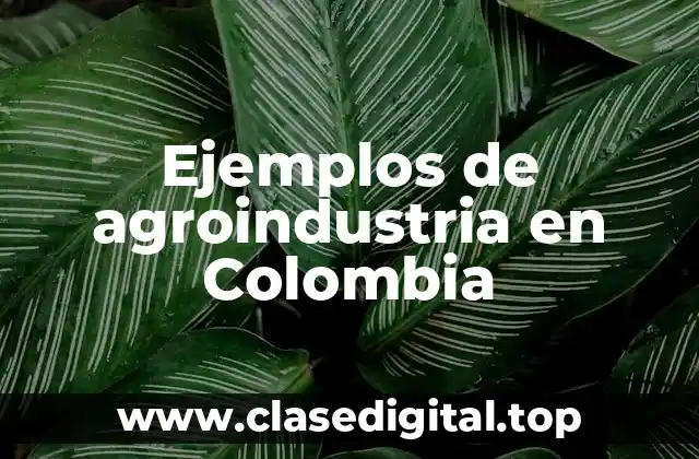 Ejemplos de agroindustria en Colombia