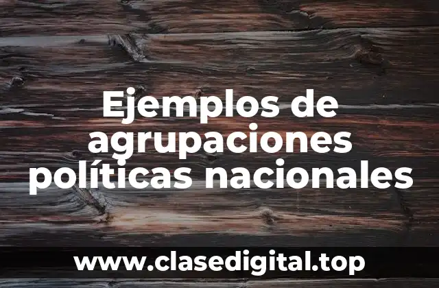 Ejemplos de agrupaciones políticas nacionales