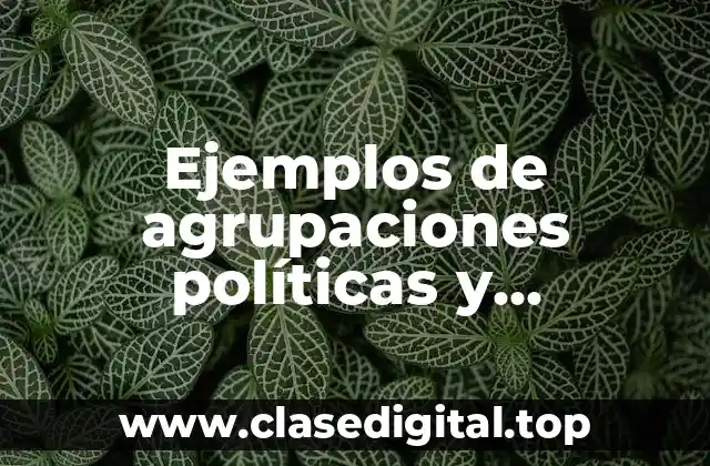 Ejemplos de agrupaciones políticas y Significado