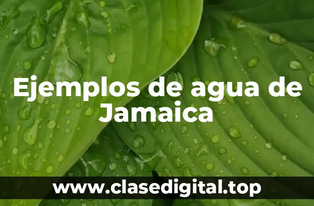 Ejemplos de agua de Jamaica