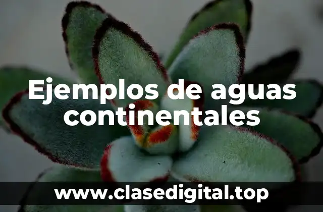 Ejemplos de aguas continentales