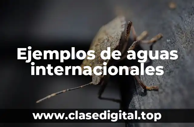 Ejemplos de aguas internacionales