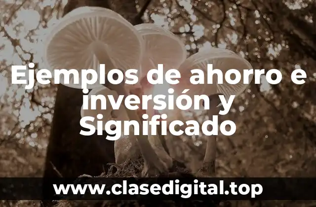 Ejemplos de ahorro e inversión y Significado