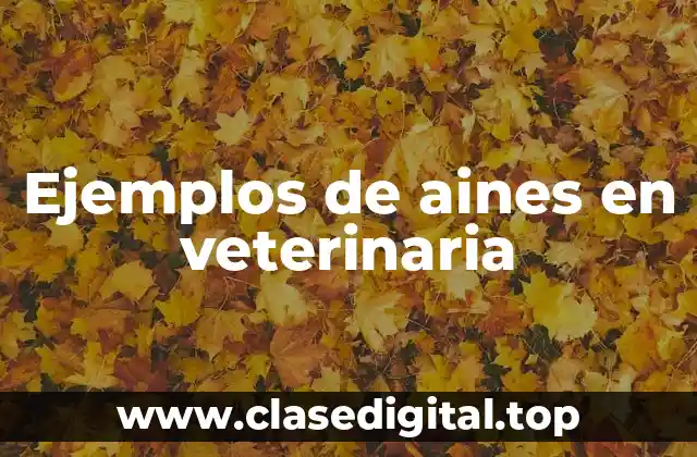 Ejemplos de aines en veterinaria