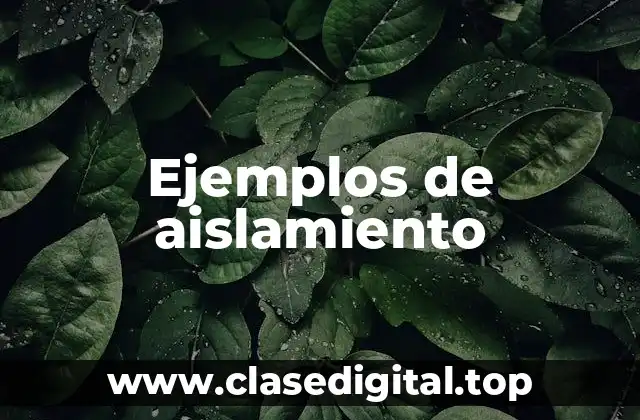 Ejemplos de aislamiento