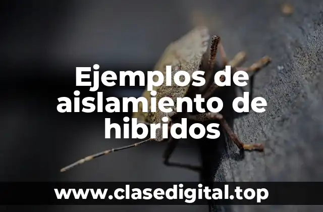 Ejemplos de aislamiento de hibridos