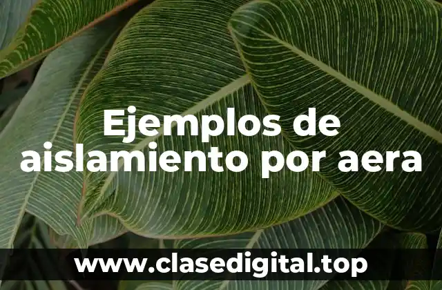 Ejemplos de aislamiento por aera