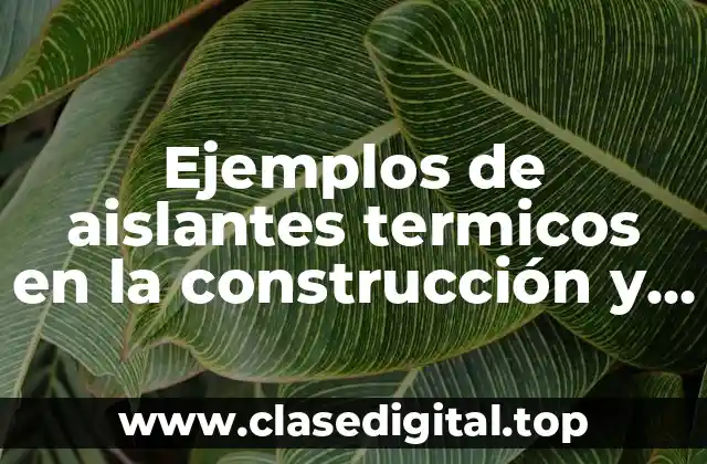 Ejemplos de aislantes termicos en la construcción y Significado