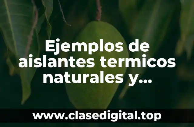 Ejemplos de aislantes termicos naturales y Significado