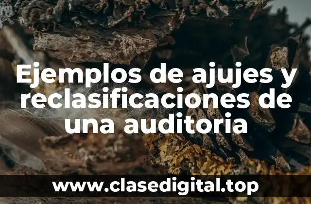 Ejemplos de ajujes y reclasificaciones de una auditoria