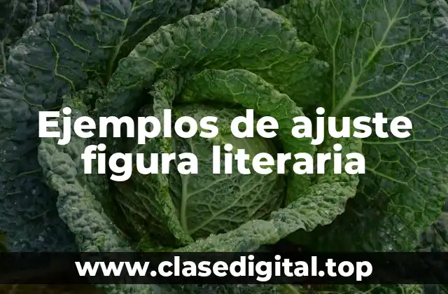 Ejemplos de ajuste figura literaria
