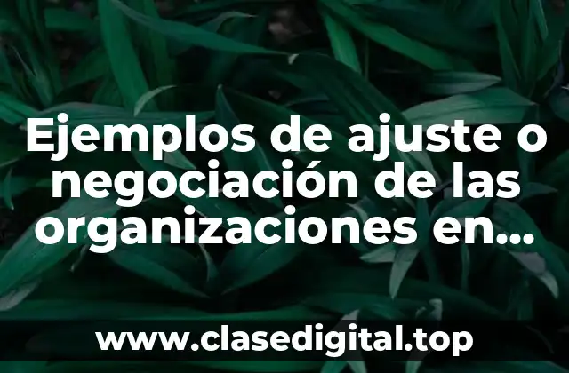 Ejemplos de ajuste o negociación de las organizaciones en administración