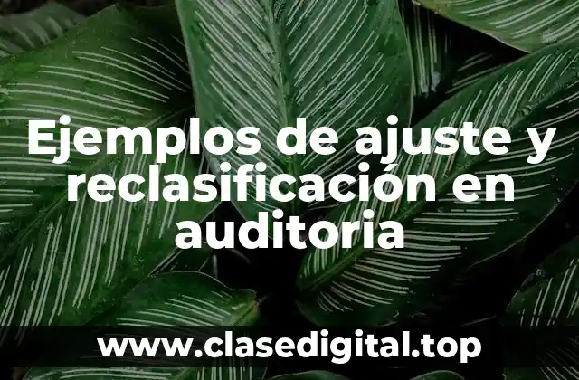 Ejemplos de ajuste y reclasificación en auditoria