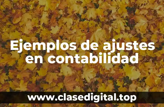 Ejemplos de ajustes en contabilidad