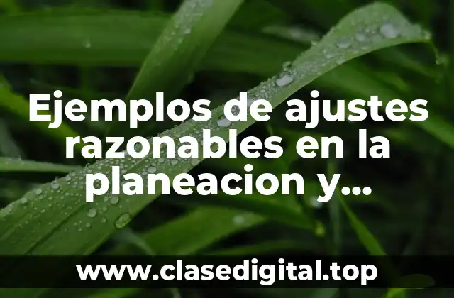 Ejemplos de ajustes razonables en la planeacion y Significado