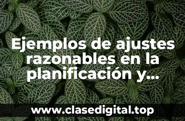 Ejemplos de ajustes razonables en la planificación y Significado