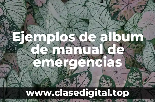 Ejemplos de album de manual de emergencias