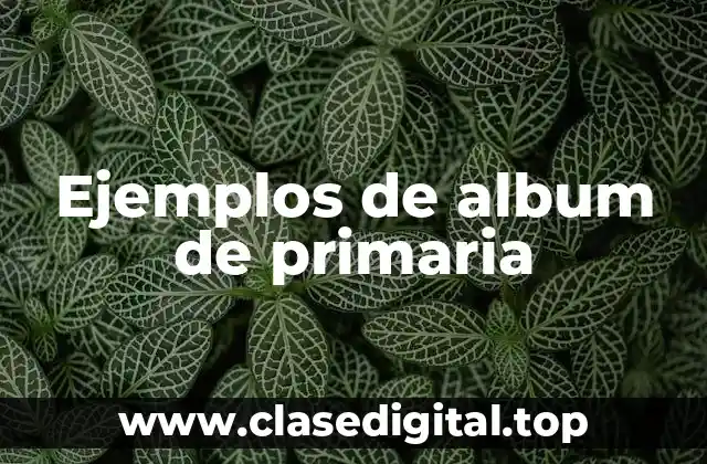 Ejemplos de album de primaria