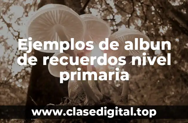 Ejemplos de albun de recuerdos nivel primaria