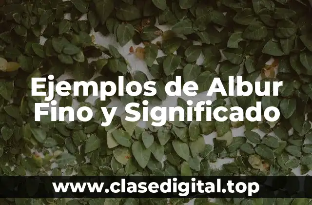 Ejemplos de Albur Fino y Significado