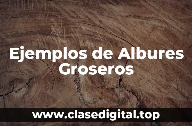Ejemplos de Albures Groseros