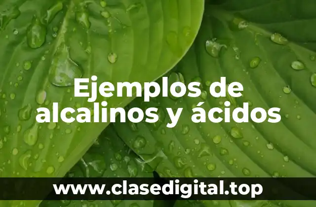 Ejemplos de alcalinos y ácidos