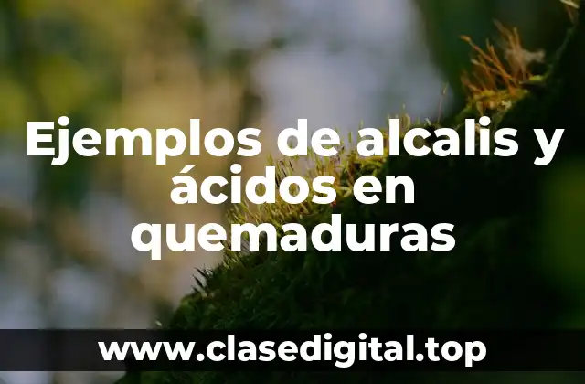 Ejemplos de alcalis y ácidos en quemaduras