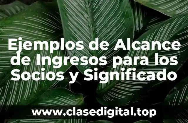 Ejemplos de alocable income para los socios