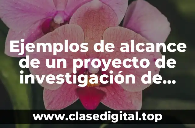 Ejemplos de alcance de un proyecto de investigación de mercado