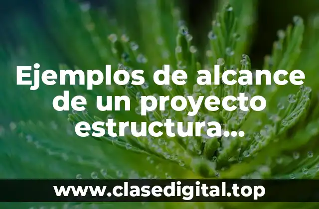 Ejemplos de alcance de un proyecto estructura organizacional