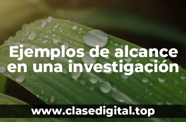 Ejemplos de alcance en una investigación