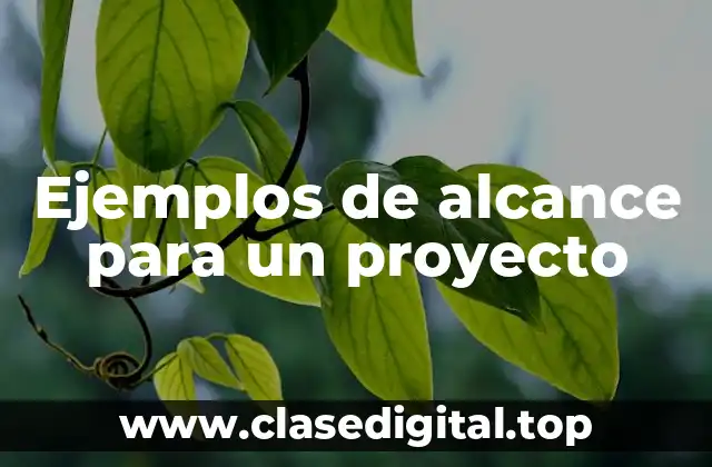 Ejemplos de alcance para un proyecto