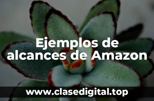 Ejemplos de alcances de Amazon
