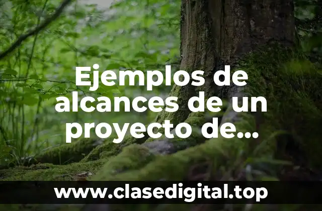 Ejemplos de alcances de un proyecto de software de nomina