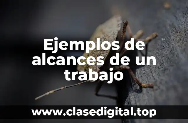 Ejemplos de alcances de un trabajo