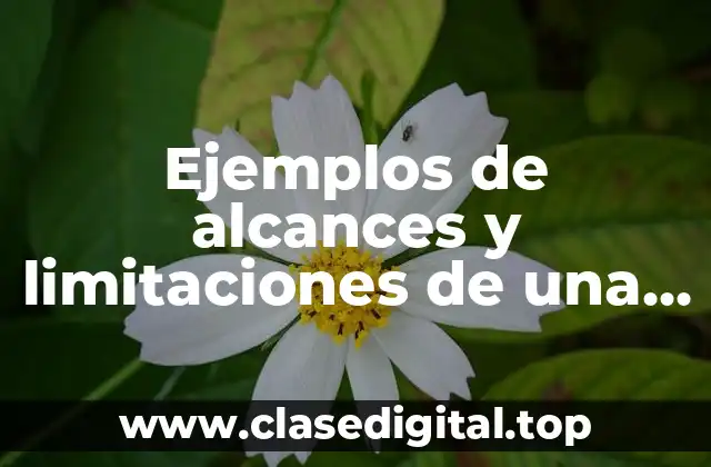 Ejemplos de alcances y limitaciones de una empresa