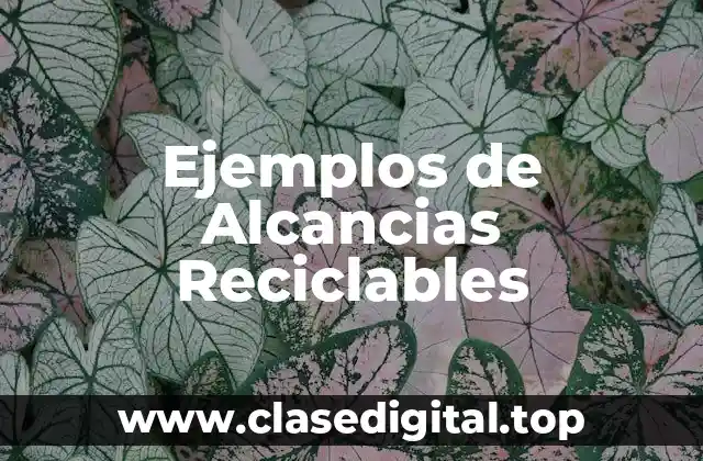 Ejemplos de Alcancias Reciclables