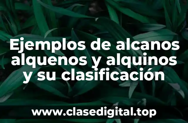 Ejemplos de alcanos alquenos y alquinos y su clasificación