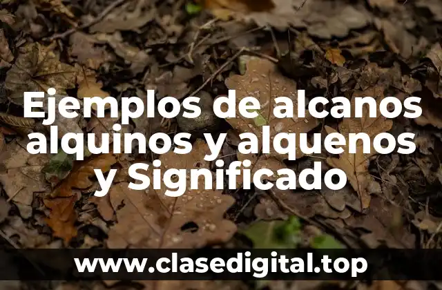 Ejemplos de alcanos alquinos y alquenos y Significado