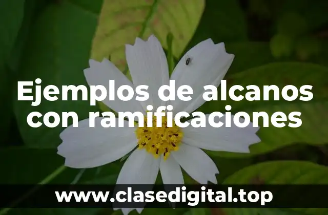 Ejemplos de alcanos con ramificaciones