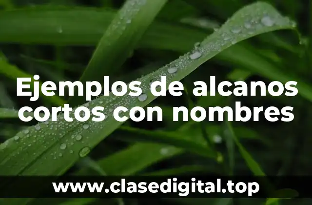 Ejemplos de alcanos cortos con nombres