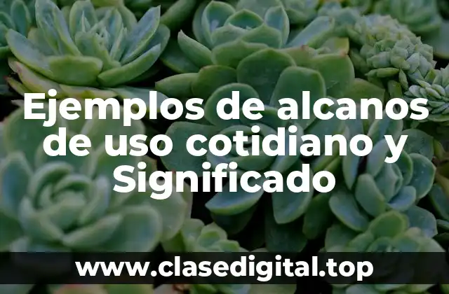 Ejemplos de alcanos de uso cotidiano y Significado
