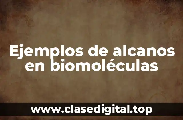 Ejemplos de alcanos en biomoléculas