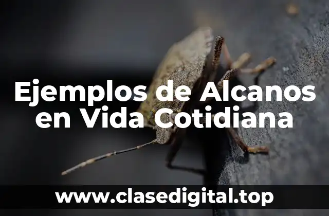 Ejemplos de Alcanos en Vida Cotidiana