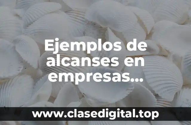 Ejemplos de alcanses en empresas vinicultoras