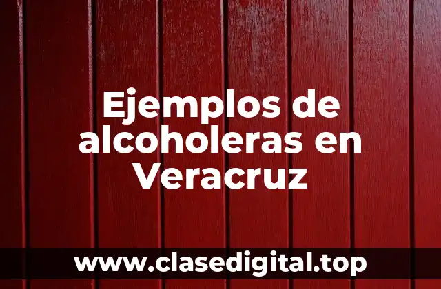 Ejemplos de alcoholeras en Veracruz
