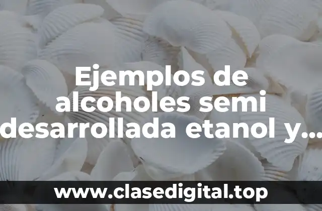 Ejemplos de alcoholes semi desarrollada etanol y Significado