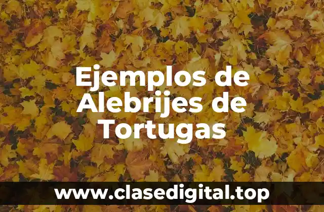 Ejemplos de Alebrijes de Tortugas