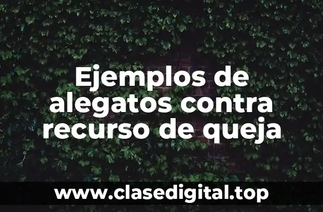 Ejemplos de alegatos contra recurso de queja