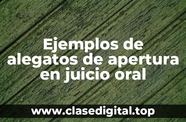 Ejemplos de alegatos de apertura en juicio oral
